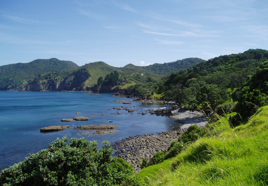 Kennedy bay Erika Mackay 720 x 500