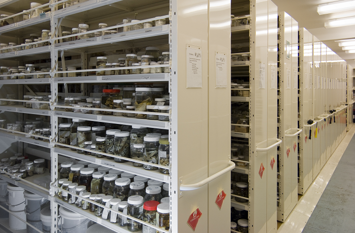 biodiversity collection