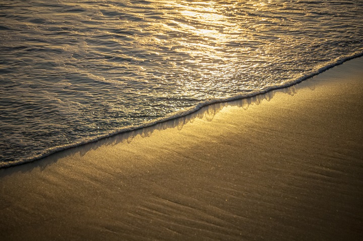 beach DSC 0139 credit dave allen NIWA